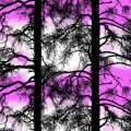 Kelohonka, fuxia, design Tanja Orsjoki