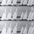 Regatta by Caj Bremer