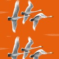 Kotiin Päin, orange, by Erik Bruun