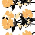 Kesäleski apricot by Howard Smith
